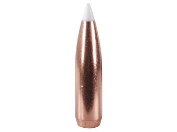 Nosler - 30c(.308) 165gr Spitzr BULLET AccuBond 100/box