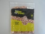 CamPro - 44cal (.429) 200gr Trunc Cone FP 500/Bag