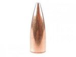 SPEER 30 (.308) 125gr TNT BULLET VALUE-PACK 500/Box - Image 2